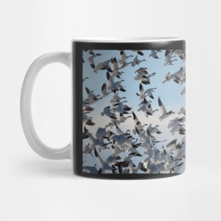 Migration Mug